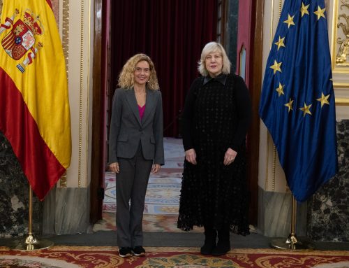 La PDLI se reune con la comisaria de DDHH del Consejo de Europa, de visita en España